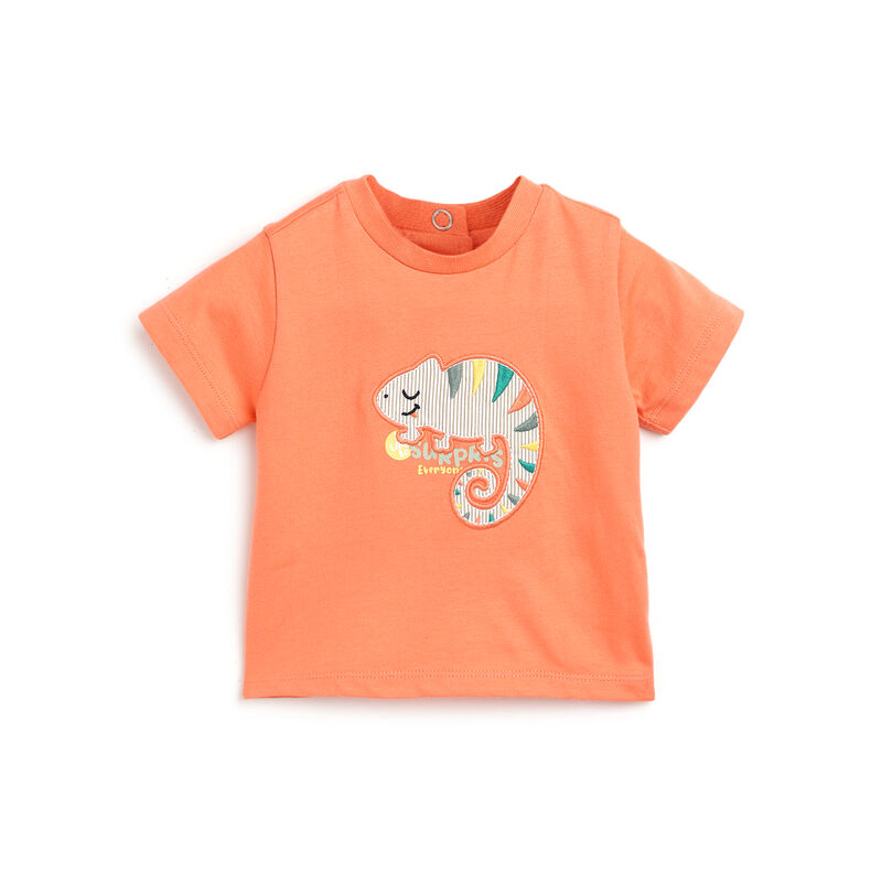 Boys Medium Orange Applique Short Sleeve T-Shirt image number 0